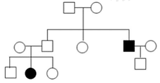 Phenylketone niệu (PKU) là rối loạn chuyển hóa Phenylalanyl, gây tích tụ Phenylalanyl trong cơ thể. Sơ đồ phả hệ của một gia đình sau đây bị bệnh này. Phả hệ bên cho thấy bệnh Phenylketone niệu (PKU) được quy định bởi: (ảnh 1)