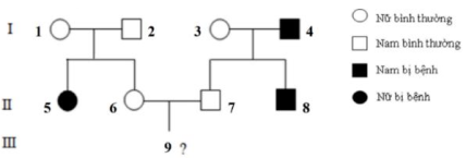 Phả hệ dưới đây mô tả sự di truyền và biểu hiện của bệnh M của một gia đình. Xác suất để cặp vợ chồng 6 và 7 sinh người con 9 là con gái không mắc bệnh M là bao nhiêu? (ảnh 1)