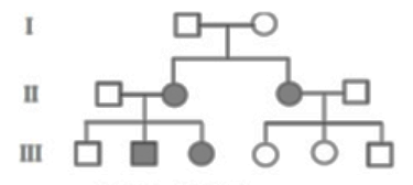 Khi nghiên cứu về sự di truyền của một căn bệnh trong một gia đình người ta xây dựng , được phả hệ như hình 3. (ảnh 1)