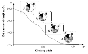 Khi nghiên cứu một loài ruồi giấm có 3 nòi A, B, C tại một khu vực địa lý, người ta lập được biểu đồ bên về sự phân bố số lượng cá thể. Khi nhận xét về sự phân bố các loài, phát biểu nào sau sai? (ảnh 1)
