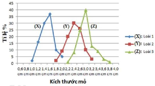 Khi nghiên cứu ổ sinh thái dinh dưỡng của 3 loài chim ăn hạt sống trong cùng 1 khu vực, các nhà nghiên cứu lập được đồ thị tỉ lệ phần trăm các loại kích thước mỏ của 3 loài trên ở hình bên.  (ảnh 1)
