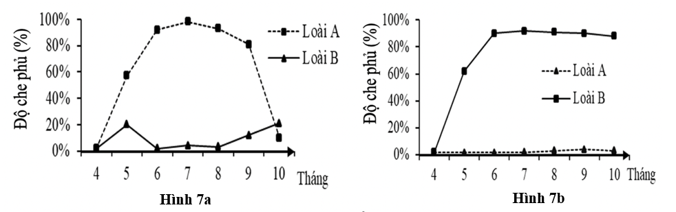 Hai loài động vật không xương sống A và B cùng sinh sống ở vực nước biển ôn đới, chúng có giai đoạn trưởng thành sống cố định, ăn các mảnh vụn hữu cơ.  (ảnh 1)