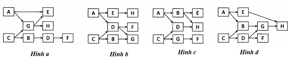 Giả sử lưới thức ăn của một quần xã sinh vật gồm các loài sinh vật được kí hiệu là: A, B, C, D, E, F, G và H. Cho biết loài A và loài C là sinh vật sản xuất, các loài còn lại đều là sinh vật tiêu thụ.  (ảnh 1)