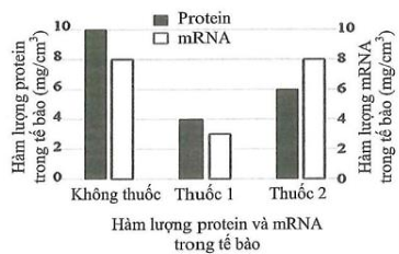 Để nghiên cứu cơ chế tác động của hai loại thuốc mới điều trị bệnh nhân Covid-19 (thuốc 1 và thuốc 2) người ta tiến hành thử nghiệm tác động của chúng lên quá trình biểu hiện gene  (ảnh 1)