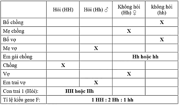 Ở người, bệnh hói đầu (baldness) do allele trội H nằm trên NST thường quy định, kiểu gene  dị hợp Hh biểu hiện hói đầu ở nam và không hói đầu ở người nữ. Một người chồng hói đầu lấy một người vợ không hói sinh được một người con trai bị hói đầu.  (ảnh 1)