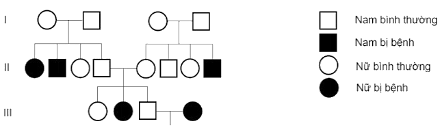 Một bệnh di truyền được biểu diễn qua phả hệ sau. Phát biểu nào sau đây đúng về bệnh di truyền này? (ảnh 1)