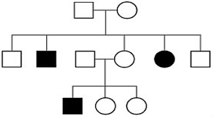 Sơ đồ phả hệ dưới đây mô tả sự di truyền một bệnh ở người do một gene có hai allele quy định. Có tối đa bao nhiêu người trong gia đình có kiểu gene đồng hợp? (ảnh 1)