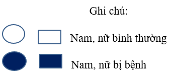 Khi nghiên cứu về sự di truyền của một căn bệnh trong một gia đình người ta xây dựng , được phả hệ như hình 3. (ảnh 2)