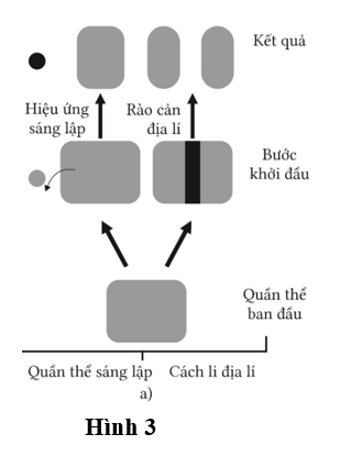 Có nhiều con đường hình thành loài mới. Hình 3 mô tả cơ chế hình thành loài A. cùng khu. B. khác khu. C. liền khu. D. liên khu. (ảnh 1)
