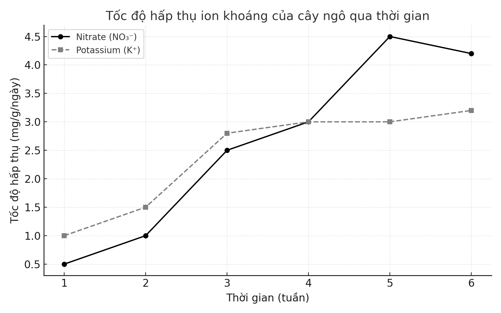 Một nghiên cứu theo dõi khả năng hấp thụ nitrate (NO₃⁻) và potassium (K⁺) của cây ngô qua thời gian 6 tuần. Đồ thị sau đây trình bày tốc độ hấp thụ của hai loại ion: (ảnh 1)
