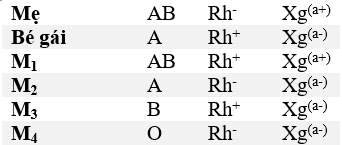 Rất nhiều hệ nhóm máu khác nhau có thể phát hiện khi xét nghiệm máu ở người. Hệ thống nhóm máu ABO do gen I quy định, trong đó IA và IB đồng trội, IO là alen lặn. (ảnh 1)