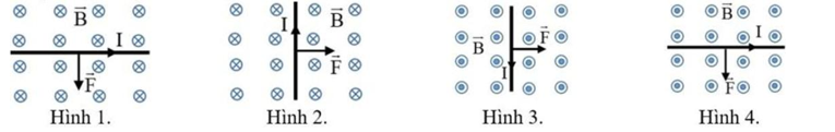 Hình nào dưới đây biểu diễn đúng chiều của lực từ F tác dụng lên dây dẫn mang dòng điện đặt trong từ trường đều? (ảnh 1)