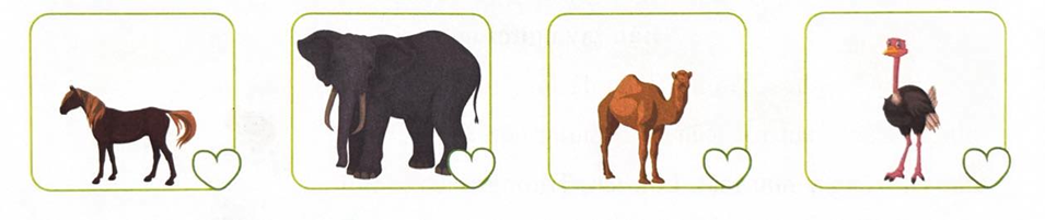 Đánh số thứ tự để tả độ cao tăng dần của các con vật sau: (ảnh 1)