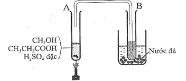 Chất lỏng thu được ở ống nghiệm  có mùi táo, có tên gọi là (ảnh 1)