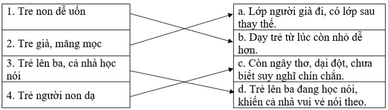 Em hãy nối các thành ngữ ở cột bên trái với nghĩa tương ứng ở cột bên phải? 1. Tre non dễ uốn a. Lớp người già đi, có lớp sau thay thế. 2. Tre già, măng mọc (ảnh 1)