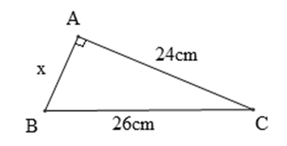 Cho hình vẽ. Giá trị của x là (ảnh 1)