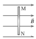 Trong từ trường đều có cảm ứng từ B = 0,06T (ảnh 1)