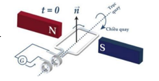 Cho một khung dây quay quanh trục trong vùng từ trường được tạo bởi 2 nam châm. (ảnh 1)