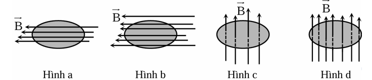 Trong các hình vẽ sau, từ thông gửi qua diện tích khung dây dẫn có giá trị lớn nhất? (ảnh 1)