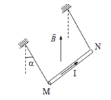 Đoạn dây dẫn MN có chiều dài 1 = 20cm, khối lượng m = 10g (ảnh 1)