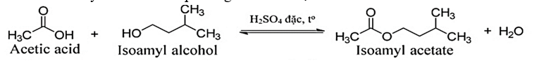 Một học sinh tiến hành tổng hợp isoamyl acetate (thành phần chính của dầu chuối) từ acetic acid và isoamyl alcohol theo phương trình hóa học sau: (ảnh 1)