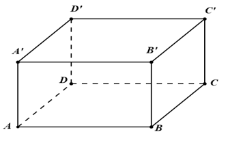 Cho hình lập phương ABCD.A'B'C'D' cạnh a. Khẳng định nào sau đây sai?  (ảnh 1)
