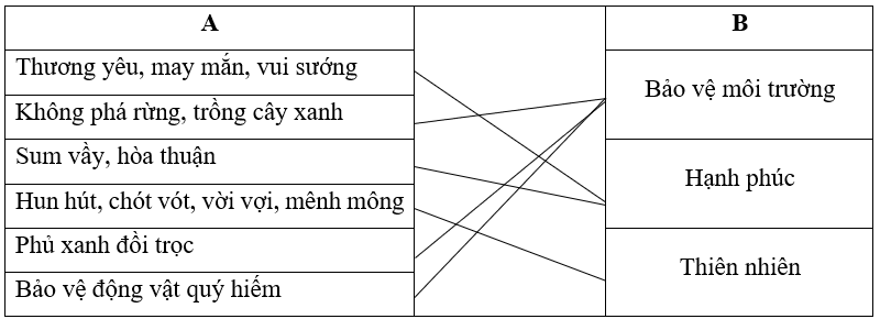 Nối các từ ngữ ở cột A với chủ đề ở cột B sao cho phù hợp:   A  	     	  B     Thương yêu, may mắn, vui sướng  	  Bảo vệ môi trường     Không phá rừng. trồng cây xanh  (ảnh 1)