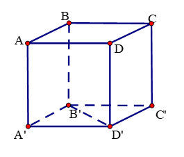 Chọn khẳng định đúng trong các khẳng định sau: (ảnh 1)