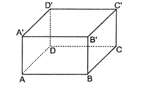 Cho hình lập phương \(ABCD.A'B'C'D'\) có cạnh bằng \(a\). Khoảng cách giữa hai đường thẳng \(AB\) và \(DC\) bằng (ảnh 1)
