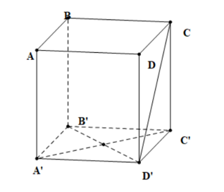 Cho hình lập phương \(ABCDA'B'C'D'\). Các mệnh đề sau đúng hay sai? (ảnh 1)