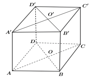 Cho hình lập phương\[ABCD.A'B'C'D'\]. Các mệnh đề sau đúng hay sai? (ảnh 1)