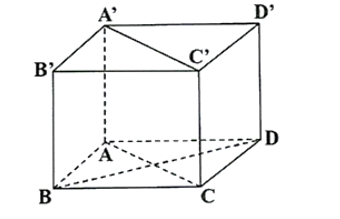 Cho hình hộp \(ABCD, A'B'C'D' có 6 mặt là hình vuông. Tính số đo của góc giữa hai đường thẳng (ảnh 1)