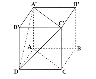 Cho h&igrave;nh hộp \(ABCD , A'B'C'D'  c&oacute; 6 mặt l&agrave; h&igrave;nh vu&ocirc;ng. T&iacute;nh số đo của g&oacute;c giữa hai đường thẳng (ảnh 1)