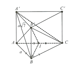 Cho lăng trụ đứng ABC. A'B'C' c&oacute; đ&aacute;y l&agrave; tam gi&aacute;c vu&ocirc;ng c&acirc;n tại B (ảnh 1)