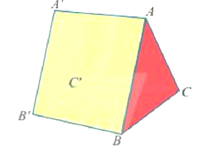 Một cái lều có dạng hình lăng trụ \(ABC.A'B'C'\) có cạnh bên \(AA'\) vuông góc với đáy. (ảnh 1)