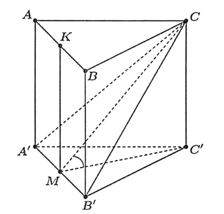 Cho h&igrave;nh lăng trụ tam gi&aacute;c đều ABC.A'B'C' c&oacute; cạnh đ&aacute;y bằng 2a  v&agrave; cạnh b&ecirc;n bằng 3a .  (ảnh 1)