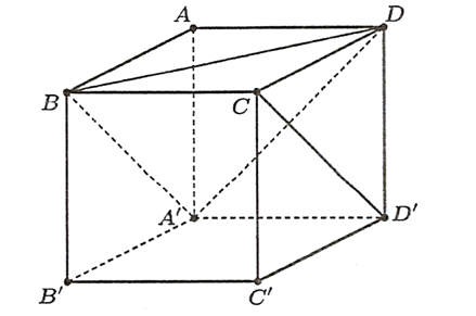 Cho hình lập phương \(ABCD, A'B'C'D' .Tính góc giữa đường thẳng (ảnh 1)