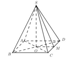 Cho biết kim tự tháp Memphis tại bang Tennessee (Mỹ) có dạng hình chóp tứ giác đều với chiều (ảnh 2)