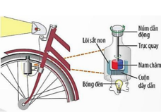 Hình bên là sơ đồ cấu tạo của một dynamo xe đạp. Chọn đáp án sai trong các đáp án sau khi nói về dynamo? (ảnh 1)