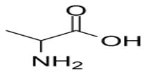 Amino acid X có công thức khung phân tử như hình dưới (ảnh 1)