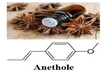 Trong công nghiệp, người ta tách tinh dầu quả hồi bằng phương pháp chưng cất lôi cuốn hơi nước (ảnh 1)