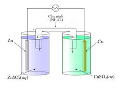 Một pin điện hóa được lắp đặt như hình sau: (ảnh 1)