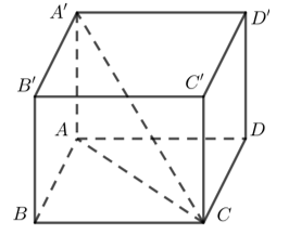 Góc giữa đường thẳng A'C và mặt phẳng ABCD bằng (ảnh 1)