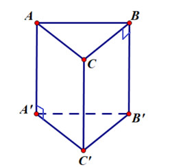Cho hình lăng trụ đứng tam giác đều\(ABC.A'B'C'\). Khẳng định nào sau đây đúng? (ảnh 1)
