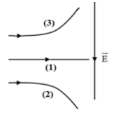 Máy gia tốc có thể cho các hạt mang điện tới tốc độ đủ lớn rồi cho va chạm (hay còn gọi là tán xạ) (ảnh 1)