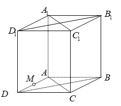 Cho hình lập phương \(ABCD.{A_1}{B_1}{C_1}{D_1}\) có cạnh \[a\]. (ảnh 1)