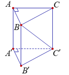 Cho hình lăng trụ đứng \(ABC.A'B'C'\) có đáy \(ABC\) là tam giác vuông tại \(A\) (tham khảo hình vẽ bên) (ảnh 1)