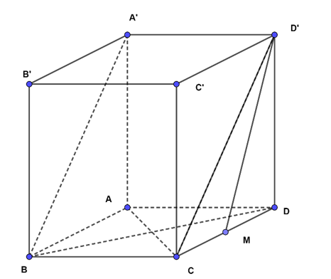 Cho hình lập phương \(ABCD.A'B'C'D'\)cạnh \(a\), \(M\) là trung điểm cạnh (ảnh 1)