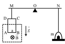 Hình vẽ mô tả thí nghiệm đo độ lớn của cảm ứng từ B.Khung dây dẫn ABCD được gắn vào một cánh tay đòn OM (ảnh 1)