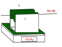 Hình vẽ cho thấy một dây dẫn được đặt nằm ngang trên cân điện từ và nằm trong từ trường của nam châm (ảnh 1)